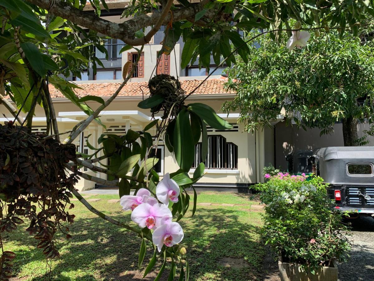 Handagedara Resort & Spa Mirissa Εξωτερικό φωτογραφία